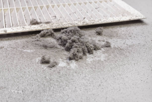 Best Ventilation Cleaning Services  in Mount Carmel, TN