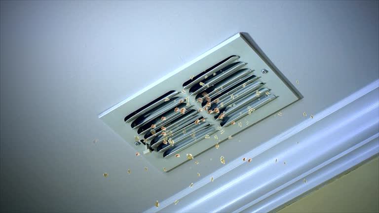Best Air Duct Cleaning Near Me  in Mount Carmel, TN