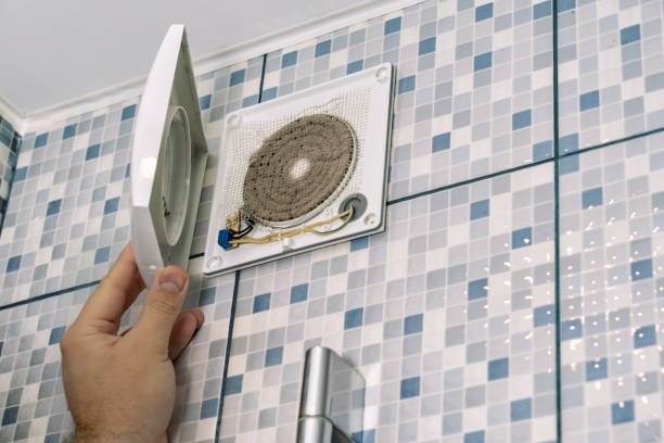 Best Home Air Vent Cleaning  in Mount Carmel, TN