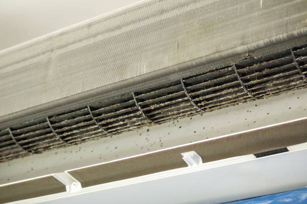Best General Air Duct Cleaning  in Mount Carmel, TN