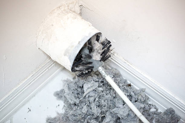 Best Affordable Duct Cleaning Services  in Mount Carmel, TN